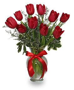 Romantic Tulips for Valentine's Day