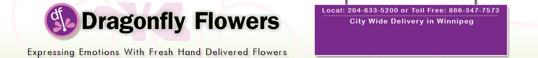 Dragonfly Flowers of Winnipeg – Your Florists for All Occasions – (204) 633-5200