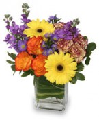 Good Ol Summertime Flower Arrangement