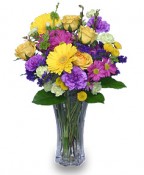 8 1/2" flared rose vase
foliage: salal, leather leaf
4 yellow roses
2 yellow gerberas
2 stems fuchsia daisy poms
3 stems purple 'Sinuata' statice
3 stems apple-green mini carnations
4 purple 'Moonshade' carnations
2 stems yellow button poms