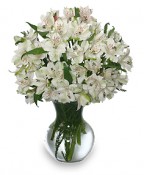 FLEECY WHITE Flower Arrangement