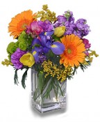 Our Best Selling Winnipeg Florists Arrangement!  Celebrate the Day!
