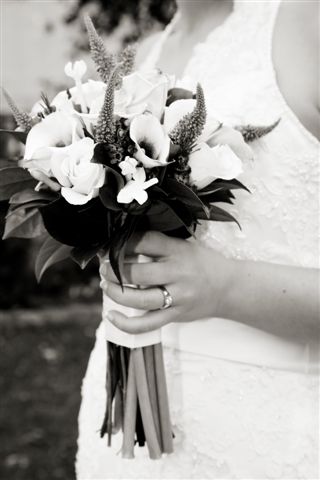 photo43.jpg