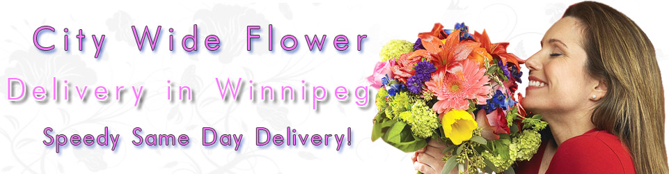 Send Flowers City Wide Florist Delivery in Winnipeg Send flowers city wide florist delivery in Winnipeg