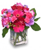 Hot Pink Pizzazz