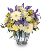 WELCOME BABY BOY Flower Arrangement