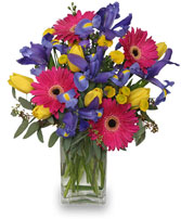 Spring Smiles - Winnipeg Florist Delivered Flowers