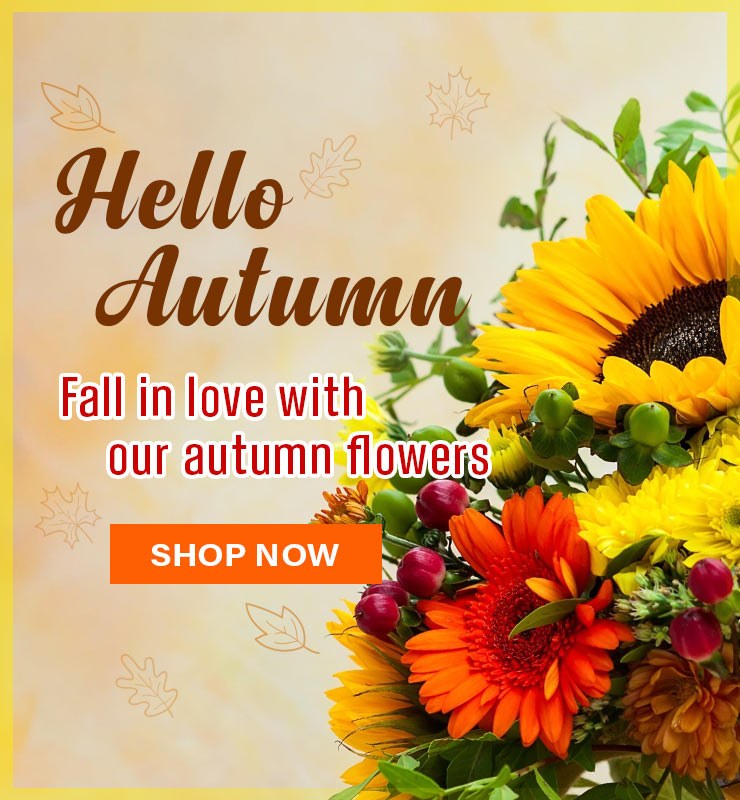 Dragonfly Flowers Autumn Flowers