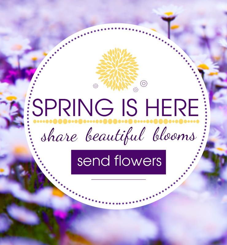 Dragonfly Flowers Easter Flowers