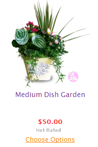 medium-dish-garden.png